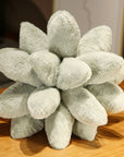 Lifelike Succulent Plants Plush Stuffed Toys