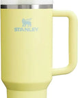 Quencher H2.0 FlowState Stainless Steel Vacuum Insulated Tumbler with Lid and Straw for Water, Iced Tea or Coffee