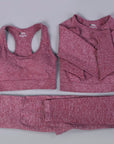 2/3PCS Seamless Women Workout Sportswear