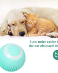Electric Smart Dog Ball Toys