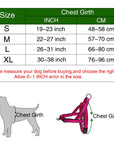 Comfortable dog harness Adjustable pet harness Secure dog walking harness Durable canine harness Pet safety harness Customizable dog harness Reliable dog control harness Adjustable strap pet harness Comfortable walking harness for dogs Stress-free dog walking solution