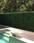 Spring Sensation Artificial Green Wall 40" x 40" 11SQ FT UV Resistant