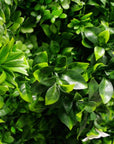 White oasis artificial vertical garden Faux vertical garden with white oasis design Artificial oasis wall panel with white foliage Decorative vertical garden featuring white oasis accents Synthetic oasis wall with lifelike white plants White oasis artificial green wall for indoor and outdoor decor Oasis-inspired artificial greenery wall with white elements Faux vertical garden panel adorned with white oasis motifs White oasis artificial plant wall for home and event decor