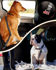 Upgraded adjustable dog seat belt Dog car safety belt with enhanced features Adjustable pet seatbelt for vehicles Improved dog restraint for car travel Upgraded canine seat belt with adjustability Enhanced safety harness for dogs in cars Adjustable dog car tether for improved security Upgraded pet travel restraint with customization Improved dog seat belt for vehicle safety Adjustable car safety harness for dogs