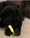 Dumbell Rubber Toy