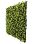 Yellow English artificial boxwood wall, UV resistant boxwood wall, Artificial boxwood panel in yellow, English boxwood wall decor, Yellow foliage wall panel, UV protected boxwood greenery, Indoor/outdoor boxwood wall, Yellow artificial hedge panel, Decorative UV resistant boxwood wall, Yellow boxwood backdrop.