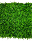 Lush Fern Artificial Green Wall 40" x 40" 11SQ FT UV Resistant