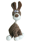 Fun Pet Squeaky Chew Toy