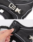 Harness Leash Set for Small Dogs