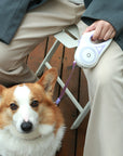 Led Lights Dog Leash