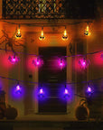 LED Halloween Light