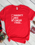 I Swear I Tried Shirt, Funny Christmas Shirts, Christmas Shirt