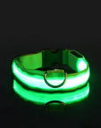 Flashing Glow Dog Collar