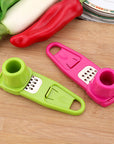 Kitchen Gadget Garlic Masher Seasoning Grinder