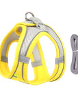 Harness Leash Set for Small Dogs