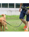 Adjustable Hands Free Dog Leash