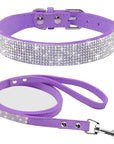 Pet Collar Leash Set