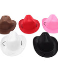 Pets Cowboy Hats