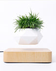 Levitating Air Bonsai Pot