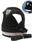 CozyCat Pet Harness and Leash