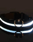 Flashing Glow Dog Collar