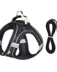 Harness Leash Set for Small Dogs