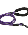 Premium Quality Nylon Leash