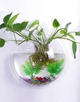 Wall-Mounted Fish Bowl