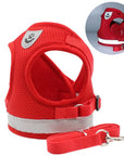 CozyCat Pet Harness and Leash