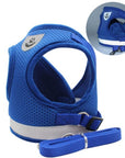 CozyCat Pet Harness and Leash