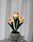 Enchanted Tulip Glow