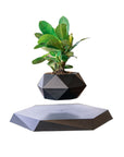 Levitating Air Bonsai Pot