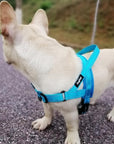 Comfortable dog harness Adjustable pet harness Secure dog walking harness Durable canine harness Pet safety harness Customizable dog harness Reliable dog control harness Adjustable strap pet harness Comfortable walking harness for dogs Stress-free dog walking solution