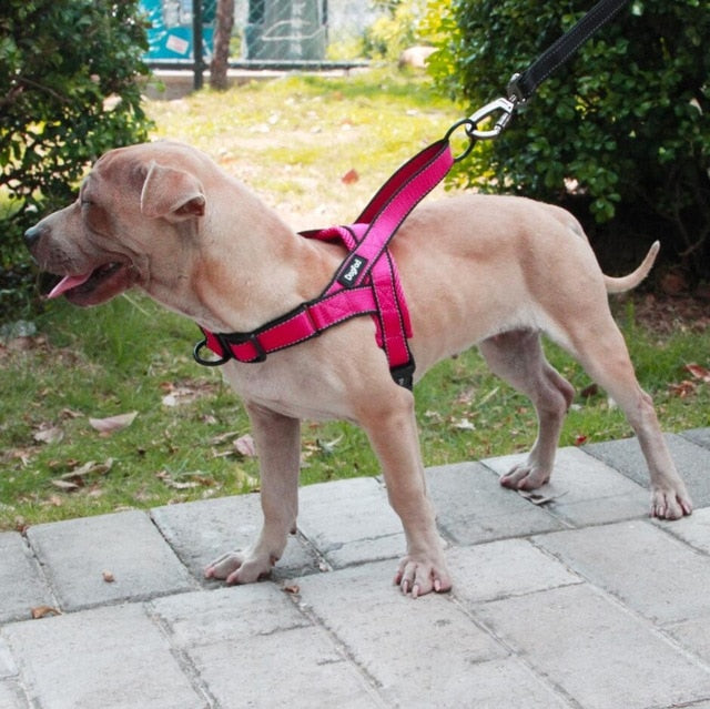 Comfortable dog harness Adjustable pet harness Secure dog walking harness Durable canine harness Pet safety harness Customizable dog harness Reliable dog control harness Adjustable strap pet harness Comfortable walking harness for dogs Stress-free dog walking solution