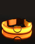 Flashing Glow Dog Collar