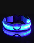 Flashing Glow Dog Collar