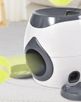 Smart Pet Feeder