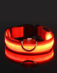 Flashing Glow Dog Collar