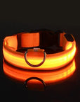 Flashing Glow Dog Collar