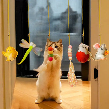 Swinging toys for cats Cat swing toys Hanging cat toys Interactive cat toys Cat play accessories Cat entertainment toys Swinging cat playthings Cat toys for hanging Feline swing toys Suspended toys for cats