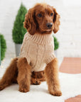 Chalet Dog Sweater