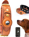 Leather Anti-Lost Dog Collar