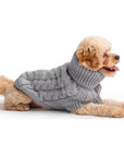 Chunky Dog Sweater