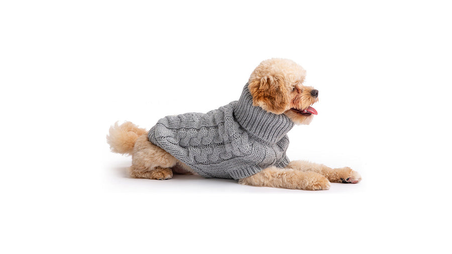 Chunky Dog Sweater