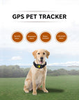 Pet GPS Tracker Collar