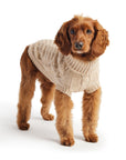 Chalet Dog Sweater