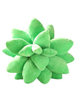 Lifelike Succulent Plants Plush Stuffed Toys