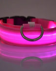 Flashing Glow Dog Collar