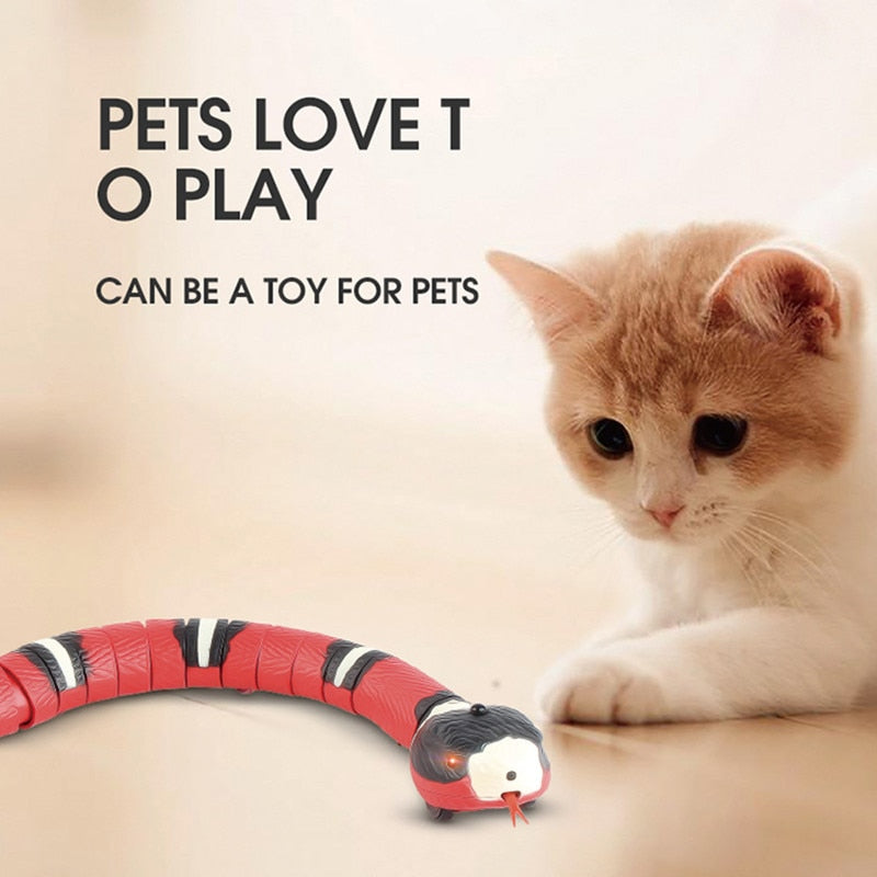 Electronic snake cat toys Automated cat playthings Motion-sensing cat toys Realistic snake toy for cats Automatic cat entertainment Interactive snake toy for felines Motorized cat plaything Engaging electronic cat toys Cat snake mimicry toy Automated feline entertainment