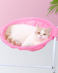 Iron Frame Breathable Pet Hammock